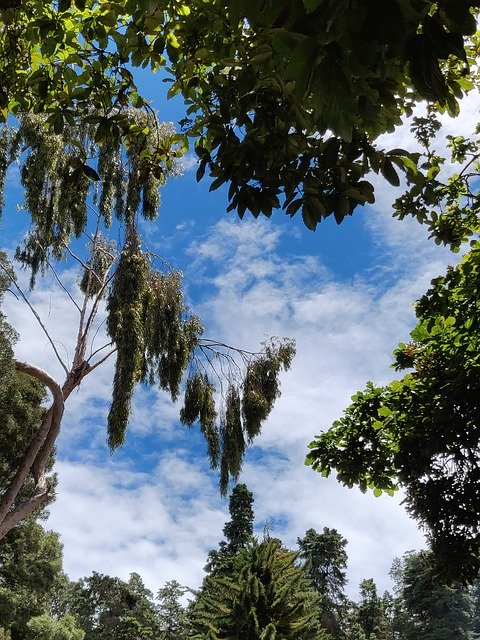 Free download Blue Clear Sky Ooty -  free photo or picture to be edited with GIMP online image editor
