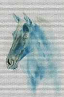Free download Blue Horse free photo or picture to be edited with GIMP online image editor