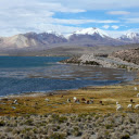 Blue sea and grass hills  screen for extension Chrome web store in OffiDocs Chromium