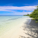 blue sea and trees  screen for extension Chrome web store in OffiDocs Chromium