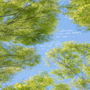 Blue sky wallpaper  screen for extension Chrome web store in OffiDocs Chromium