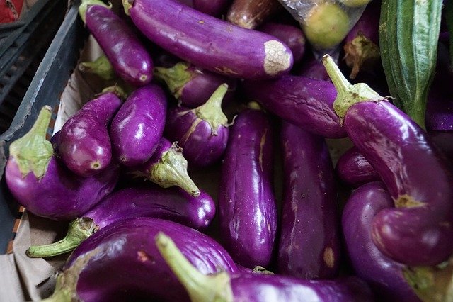 Free download Blue Vegetables Eggplant free photo template to be edited with GIMP online image editor