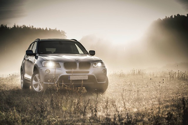 Free download bmw car automobile vehicle dare free picture to be edited with GIMP free online image editor