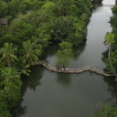 Bình Quới Tourist Village – A Peaceful Retreat in Saigon  screen for extension Chrome web store in OffiDocs Chromium