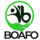 Boafo  screen for extension Chrome web store in OffiDocs Chromium