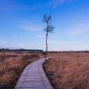Boardwalk Through the Moor  screen for extension Chrome web store in OffiDocs Chromium
