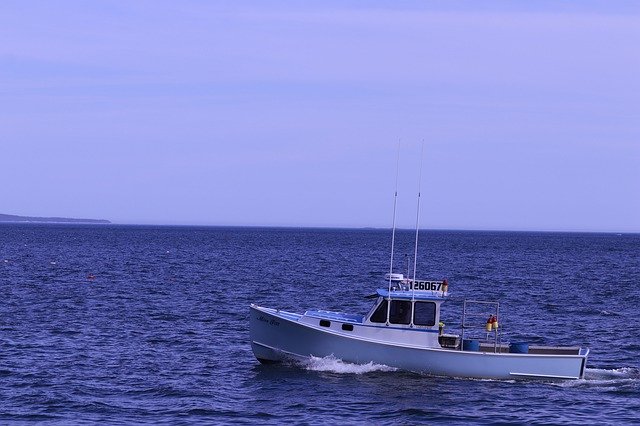 تنزيل مجاني لـ Boat Fishing - صورة مجانية أو صورة ليتم تحريرها باستخدام محرر الصور عبر الإنترنت GIMP