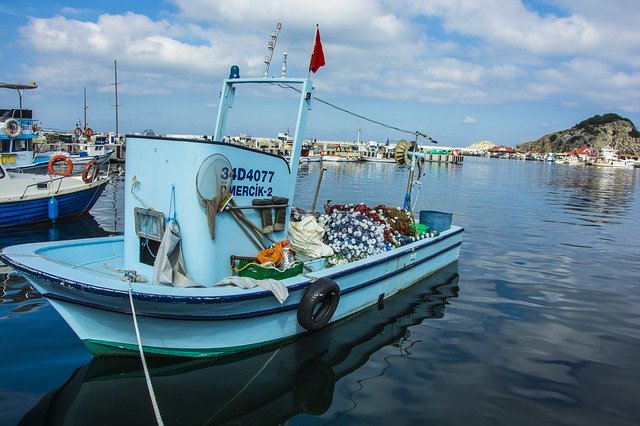 Free download Boat Marine Water -  free photo or picture to be edited with GIMP online image editor