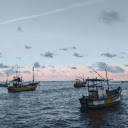 Boats at Sea  screen for extension Chrome web store in OffiDocs Chromium