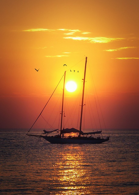 Free download boat sea sunset birds dusk travel free picture to be edited with GIMP free online image editor