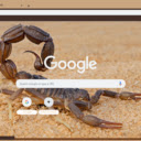 Bo Cap  screen for extension Chrome web store in OffiDocs Chromium