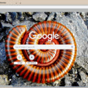 Bo Cuon  screen for extension Chrome web store in OffiDocs Chromium