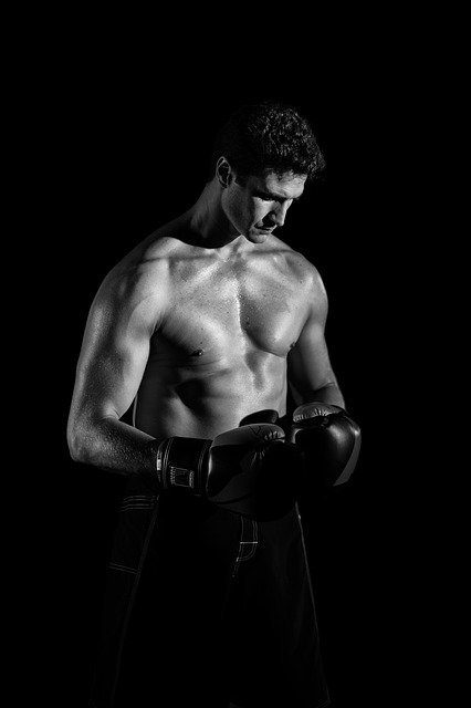 Free download body boxer man portrait muscles free picture to be edited with GIMP free online image editor
