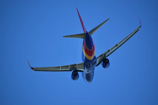 Free download boeing 737 underbelly airplane free picture to be edited with GIMP free online image editor