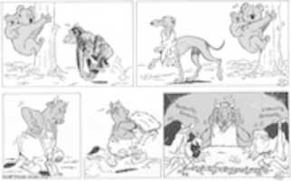 Free download Boes s debut free photo or picture to be edited with GIMP online image editor