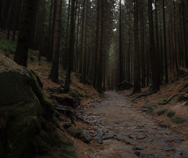 Ücretsiz indir Bohem İsviçre Ulusal Parkı - GIMP çevrimiçi resim düzenleyici ile düzenlenecek ücretsiz fotoğraf veya resim