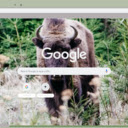 Bo Hoang  screen for extension Chrome web store in OffiDocs Chromium