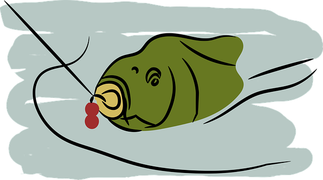 Free download Boilie Carp Pond - Free vector graphic on Pixabay free illustration to be edited with GIMP free online image editor