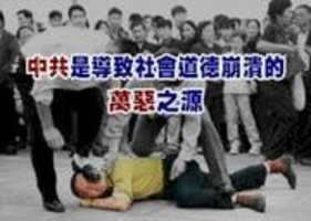 Free download BOKD 131 free photo or picture to be edited with GIMP online image editor