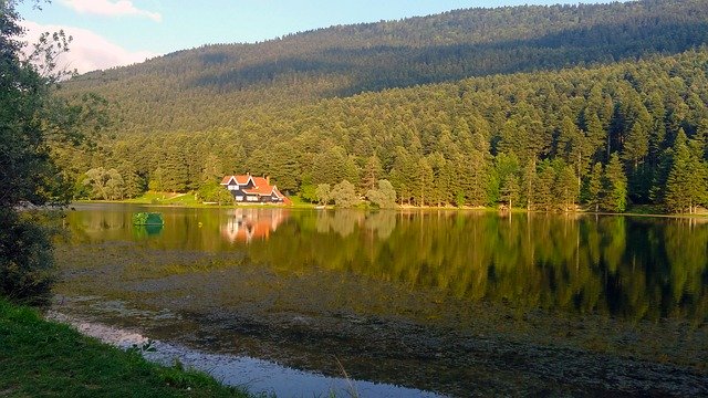 Download gratuito Bolu Pond Nature - foto o immagine gratuita da modificare con l'editor di immagini online di GIMP