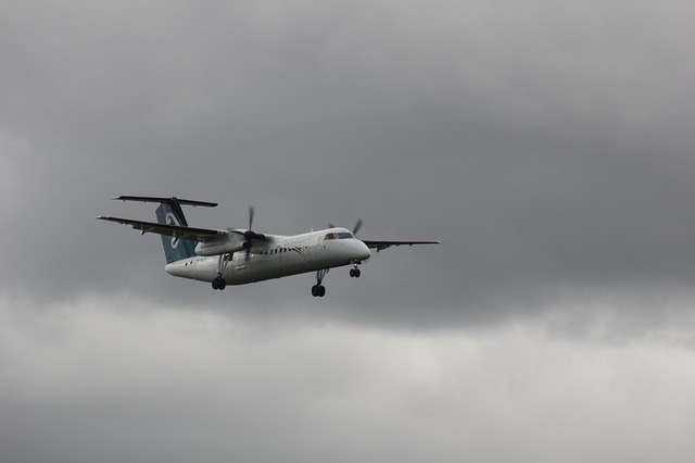Free download bombardier dash 8 q311 zk neg free picture to be edited with GIMP free online image editor