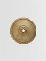 Free download Bone disk or button free photo or picture to be edited with GIMP online image editor