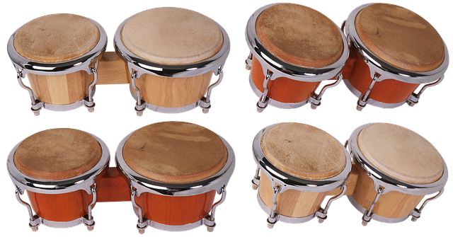 Free download Bongo Drums Music -  free photo or picture to be edited with GIMP online image editor