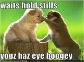 Free download boogy free photo or picture to be edited with GIMP online image editor