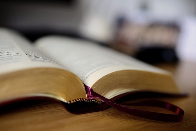 Free download book bible book pages read free picture to be edited with GIMP free online image editor