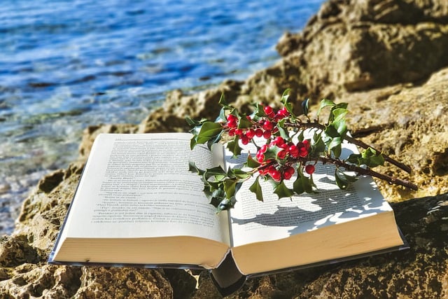 Free download book evergreen traditional decor free picture to be edited with GIMP free online image editor
