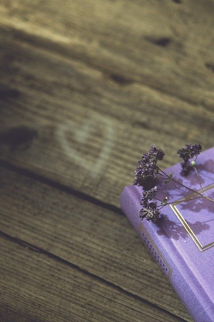 Free download book flower heart chalk tree love free picture to be edited with GIMP free online image editor
