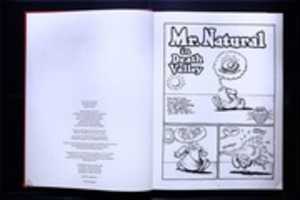 Free download BOOK OF MR. NATURAL BY RUBBER BOOTS CRUMB 37 free photo or picture to be edited with GIMP online image editor