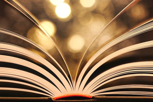 Free download book pages read light leaves free picture to be edited with GIMP free online image editor