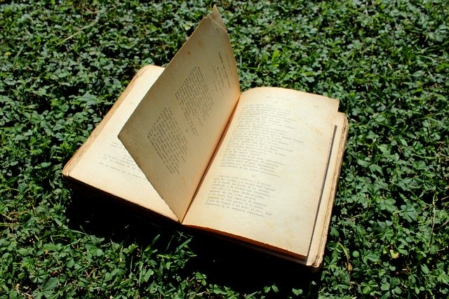 تنزيل Book Reading Autumn مجانًا - صورة مجانية أو صورة ليتم تحريرها باستخدام محرر الصور عبر الإنترنت GIMP