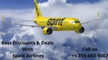Free download Book Your tickets With Spirit Airlines Reservations free photo or picture to be edited with GIMP online image editor
