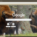 Bo rung  screen for extension Chrome web store in OffiDocs Chromium