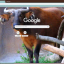 Bo rung Chau Phi  screen for extension Chrome web store in OffiDocs Chromium