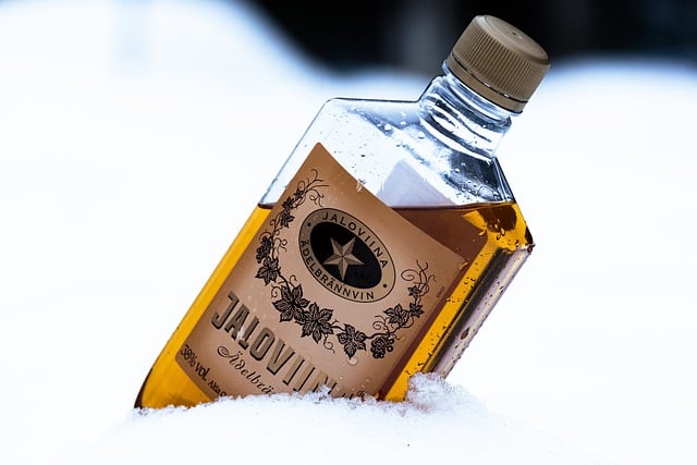 Free download bottle booze alcohol snow wet free picture to be edited with GIMP free online image editor
