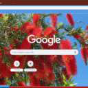 Bottlebrush  screen for extension Chrome web store in OffiDocs Chromium