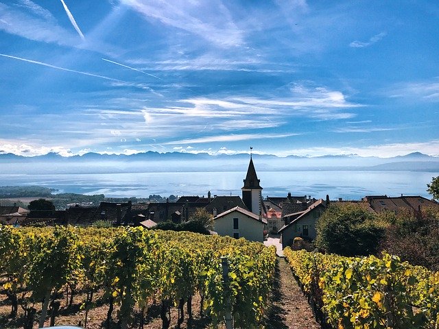 Muat turun percuma Bougy-Villars Vines Lake Geneva - foto atau gambar percuma untuk diedit dengan editor imej dalam talian GIMP