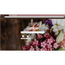 Bouquet  screen for extension Chrome web store in OffiDocs Chromium