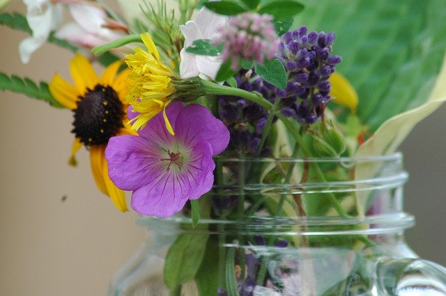 Kostenloser Download Bouquet De Fleur Jardin - kostenloses Foto oder Bild zur Bearbeitung mit GIMP Online-Bildbearbeitung
