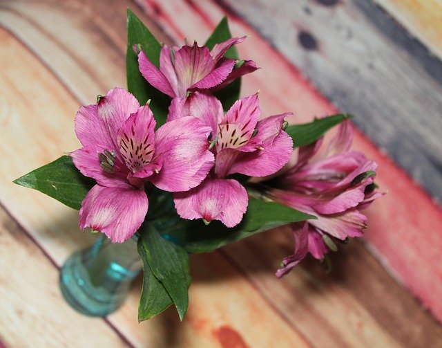 Free download Bouquet Flowers Romantic -  free photo or picture to be edited with GIMP online image editor