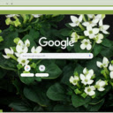Bouvardia  screen for extension Chrome web store in OffiDocs Chromium