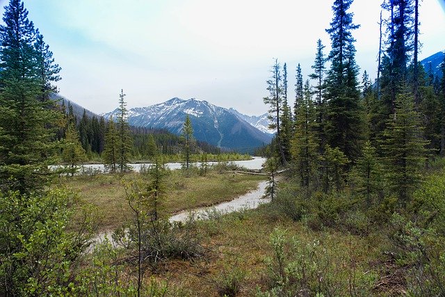 Bezpłatne pobieranie Bow River Canada Rockies - bezpłatne zdjęcie lub obraz do edycji za pomocą internetowego edytora obrazów GIMP