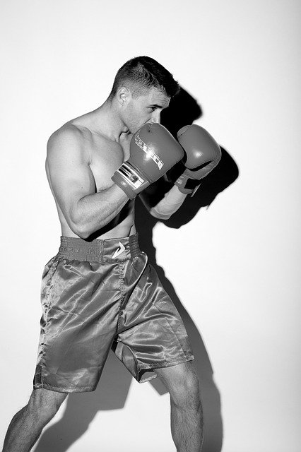 Free download Boxing Sport Model -  free photo or picture to be edited with GIMP online image editor