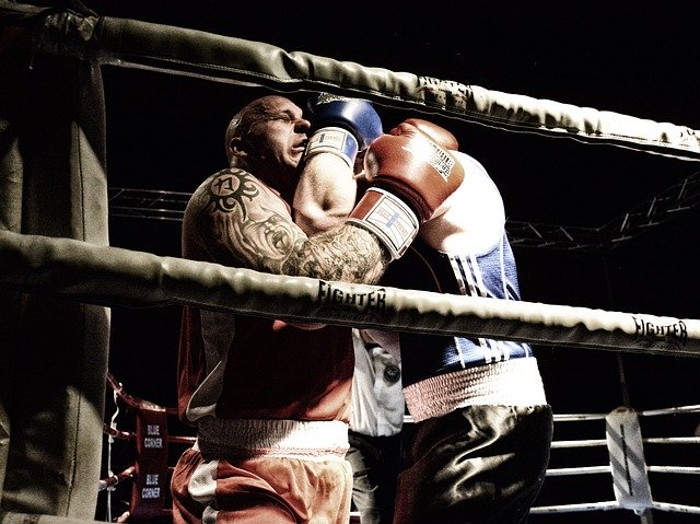 Free download Boxing Struggle Winner The -  free photo or picture to be edited with GIMP online image editor