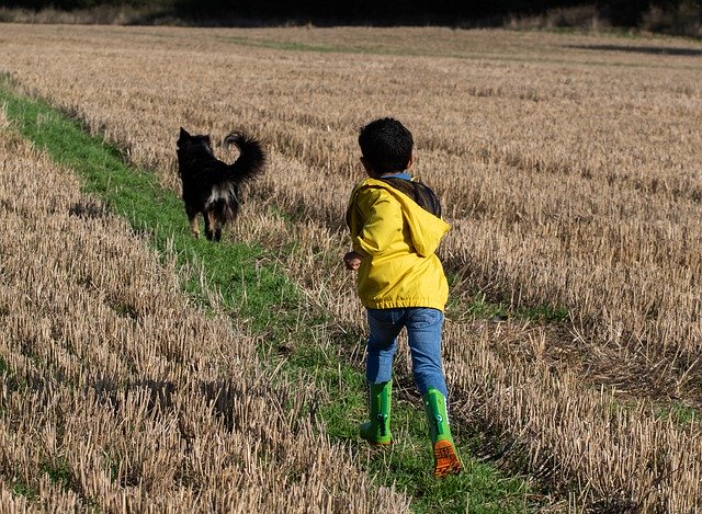 Free download Boy And Dog In Field -  free photo or picture to be edited with GIMP online image editor