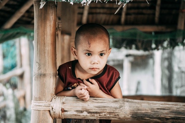 Free download boy child kid asian free picture to be edited with GIMP free online image editor