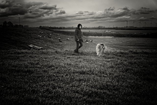 Free download boy dog clouds street photography free picture to be edited with GIMP free online image editor
